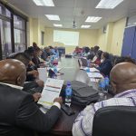 Strategic Planning & Governance Workstream