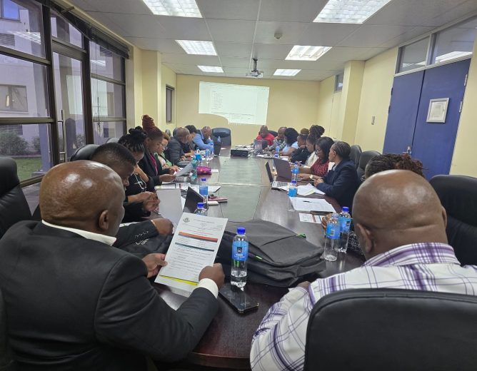 Strategic Planning & Governance Workstream
