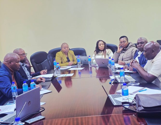 Economic Development and Planning Workstream