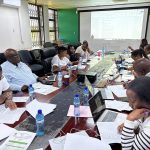 Strategic Planning and Governance Workstream