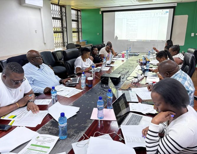 Strategic Planning and Governance Workstream